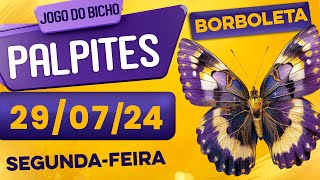 PALPITE DO DIA 29/07/2024 - JOGO DO BICHO 🍀 TODAS AS LOTERIAS 🍀