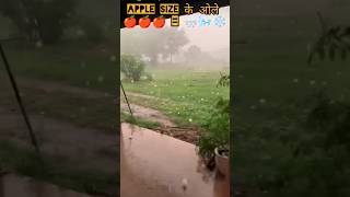 कसूता तूफ़ान 🌪️🌩️🌨️ Hail Strom. #rajasthan #farming #desi