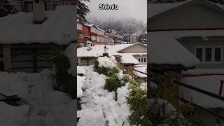 Shimla  view  after snowfall || Snowfall in Shimla #youtubeshorts #trending #viralvideo #snowfall