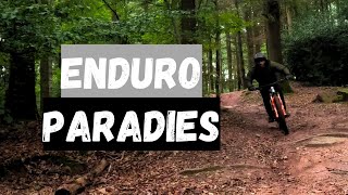 Auf ENDURO MTB Entdeckungstour in HEIDELBERG | Propain Tyee | 2024