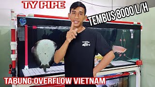 Review Tabung Over Flow Vietnam Viral || Set Up Sumpfilter tampa Melubangi Kaca Tank !!!