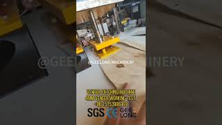 Veneer patching machine