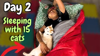 I Survived 28 Days living in a Cats Catio - DAY 2