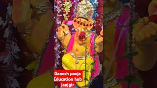 Ganesh pooja Education hub janjgir...