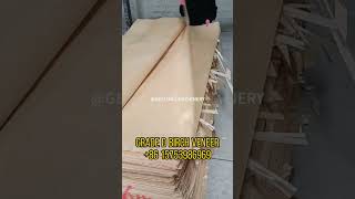 Veneer kayu birch Grade D untuk ekspor