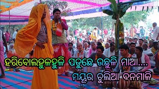 ହରିବୋଲ ହୁଳହୁଳି ପଡୁଛି ଉଛୁଳି//ମୟୂର ଚୁଳିଆ ବନମାଳି//  parayana Bhajan// #parayana_bhajan