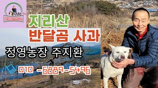 남원시 산내면 정영농장 사과나무 동계전정