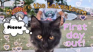 OUR PERSIAN KITTEN'S FIRST DAY OUT! | Chang'e Lakwatsera | Jabee Dy