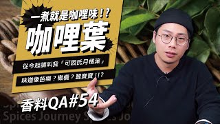 【香料QA#54】咖哩葉｜印度咖哩的香料配方｜咖哩葉一煮就是咖哩味？｜今天要為咖哩葉正名！｜味旅Spices Journey