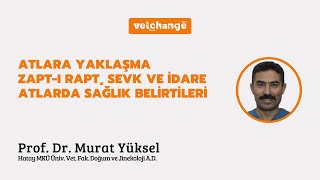 Atlara Yaklaşım Zapt-ı Rapt, Sevk ve İdare Atlarda Sağlık Belirtileri ''Prof. Dr. Murat Yüksel''