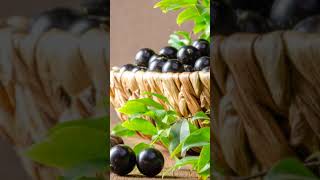 Jabuticaba The Superfruit #health #healthyfood #fruit #trees #wellness #natural #berries #culinary