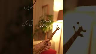 بنشین تماشایت کنم،تکنوازی سه تار هاتف ملکشاهی