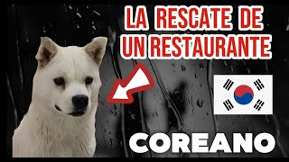 Rescate un perro de un restaurante Coreano