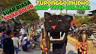 KIRAP LUAR BIASA❗TURONGGO MUDHO