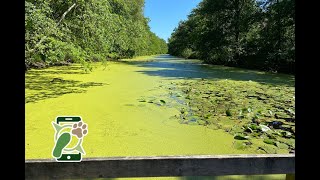 Losloopgebied landgoed Plantloon te Kaatsheuvel