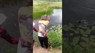 pesca de tilapia nativa