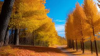 Windy Trails in Autumn | Original Piano Composition