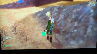 Skyward Sword Tumbleweed Farm