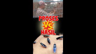 Proses dan Hasil! Apa yang kamu lihat dan Apa yang terjadi sebenarnya!