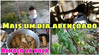 ROTINA DIA A DIA NA ROÇA - ALMOÇO SIMPLES