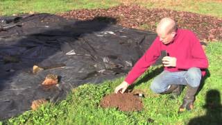 Comment créer son premier potager ?