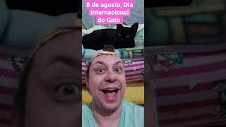 Dia Internacional do Gato #gato #gatos  #shorts #shortsvideo  #shortvideo #short #pets #cats #cat