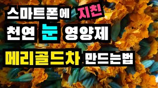 스마트폰에 지친 천연 눈 영양제~메리골드꽃차만들기, 메리골드차 만드는법, 메리골드 효능