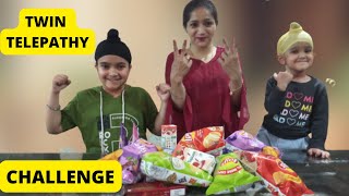 Twin Telepathy Challenge | Funny Challenge | Ekam Fateh Vlogs