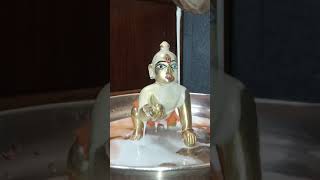 Laddu Gopal Morning Seva