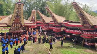 Beginilah Pesta PEMAKAMAN TERMAHAL Di DUNIA. Ritual Rambu Solo' TORAJA