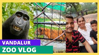 vandalur zoo vlog2022/Must visit place in Chennai/what animals we find there?#vandalurzoo #zoovisit