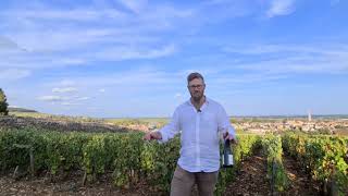 The French Wine Centre - France 2020 - Update 7