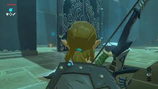 Breath of the Wild Ka'o Makagh Shrine