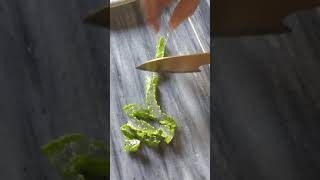 #11 Satisfying and Relaxing video of aloe Vera cutting #SHORT