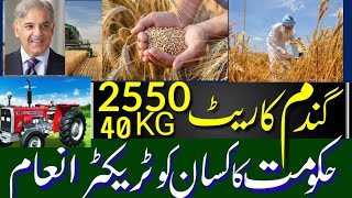 Wheat Rates 2022 Today || Rates Wheat update 2022 | Wheat Prices 2022