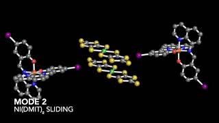 Photoinduced Sequential Activation Dynamics in Halogen Bonded Hybrid System: Unveiled by Researchers