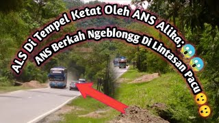 ANS Berkah Menggila Di Lintasan Pacu Batang Pamo||ALS Di Tempel Ketat ANS Alika!!!