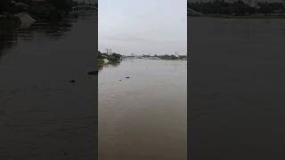 ആലുവപുഴ  ഈ മഴക്കാലത്ത് .....#shortsvideo #shorts #aluva #ernakulam #aluvariver #rain