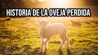 La oveja perdida - Reflexión