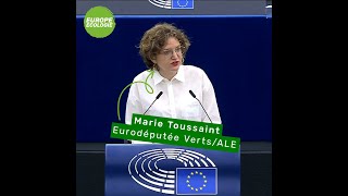 Marie Toussaint dans le débat : "Vers une Union plus résiliente face aux catastrophes"