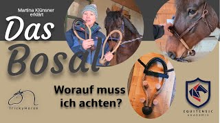 Was ist ein Bosal - Gebisslos reiten - auf für Dressur