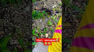 kesting #mancing #mancingmania #video #videoshort