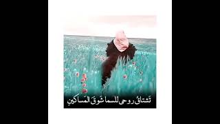 ألهي أين أجد مكانآ لا تعصى فيه لأهرب أليه دون رجعه💔