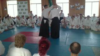 AikidoSeminar_11022012075.MP4