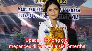 Upacara Potong Gigi, mepandes ing Pure JSA juanda Sidoarjo #potonggigi