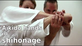 Aikido hand movements in SHIHONAGE, by Stefan Stenudd in 2009