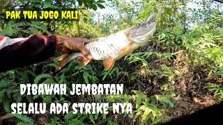 Dibawah Jembatan  Selalu Ada Strikenya