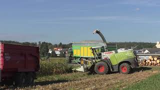 Mais 2023 LU  Tauschmann Claas Jaguar 960 & Orbis 750 mit verschiedenen Abfahrern in Bezirk Hartberg