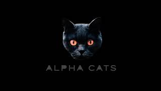 Alpha Cats * Beautiful Machines - Electronic Acid House