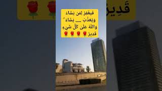 ١٠ ديسمبر، ٢٠٢٤